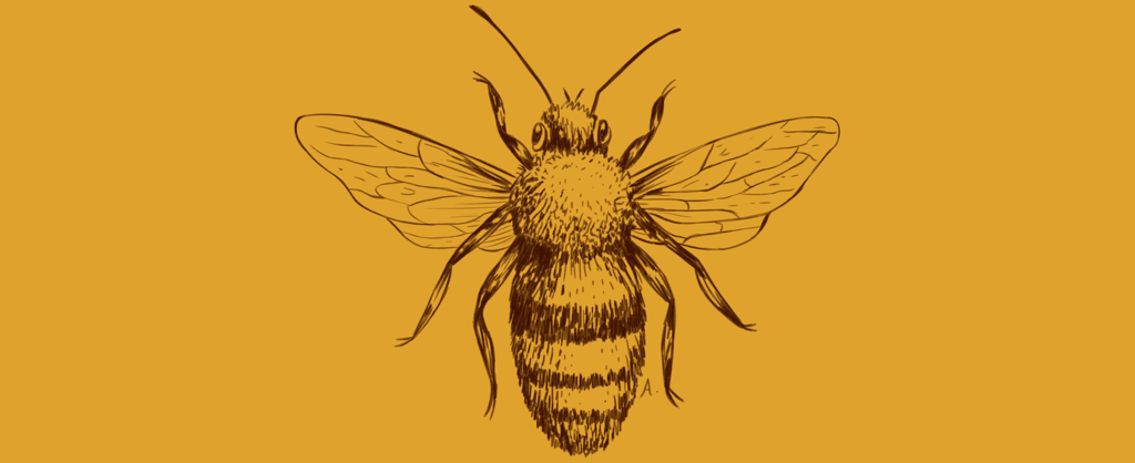 Human Bee Hive